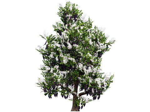 UK Hedgerow Blackthorn Pack 3D 모델