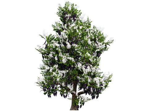 UK Hedgerow Blackthorn Pack 3D Model