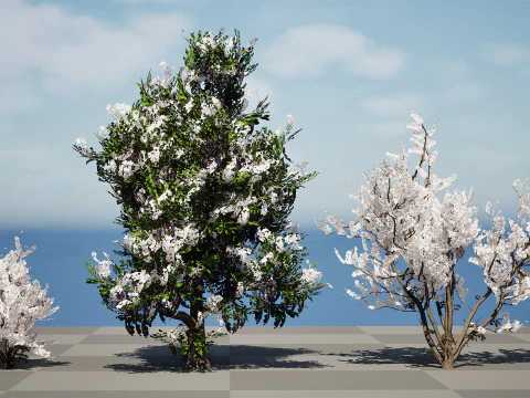 UK Hedgerow Blackthorn Pack 3D Model