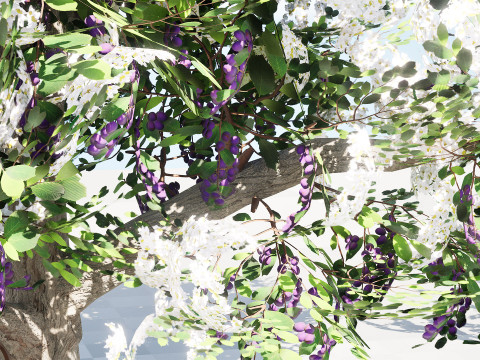 UK Hedgerow Blackthorn Pack 3D 모델
