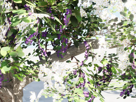 UK Hedgerow Blackthorn Pack 3D Model