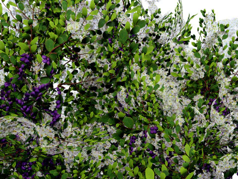 UK Hedgerow Blackthorn Pack 3D Model
