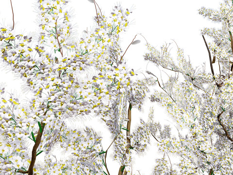 UK Hedgerow Blackthorn Pack 3D 모델