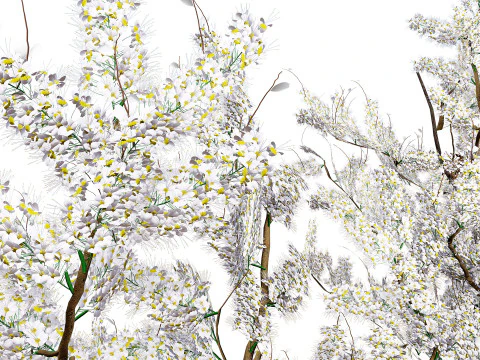 UK Hedgerow Blackthorn Pack 3D Model