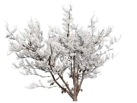 UK Hedgerow Blackthorn Pack 3D Model