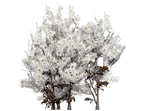 UK Hedgerow Blackthorn Pack 3D Model