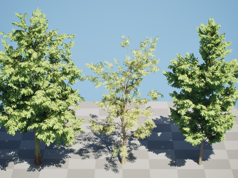 UK Alder British Trees 3D Model