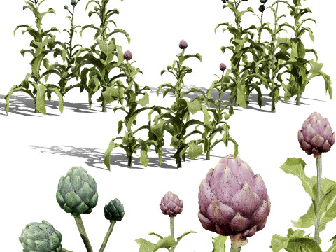 Optimized Foliage Collection 3D Model