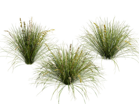 Optimized Foliage Collection 3D Model
