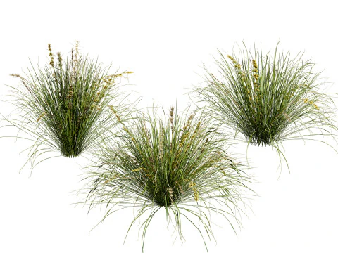 Raccolta del fogliame ottimizzata Modello 3D