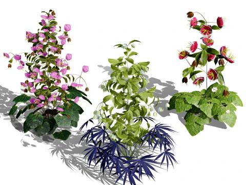 Raccolta del fogliame ottimizzata Modello 3D