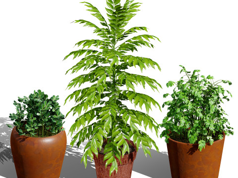Optimized Foliage Collection 3D Model