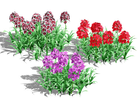 Optimized Foliage Collection 3D Model