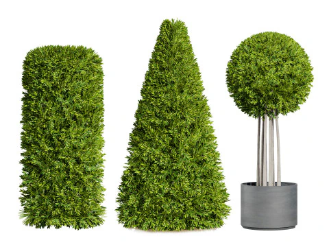 Raccolta del fogliame ottimizzata Modello 3D