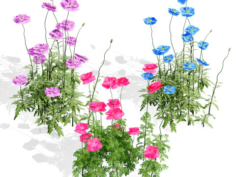 Raccolta del fogliame ottimizzata Modello 3D