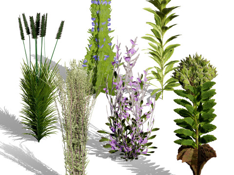 Optimized Foliage Collection 3D Model