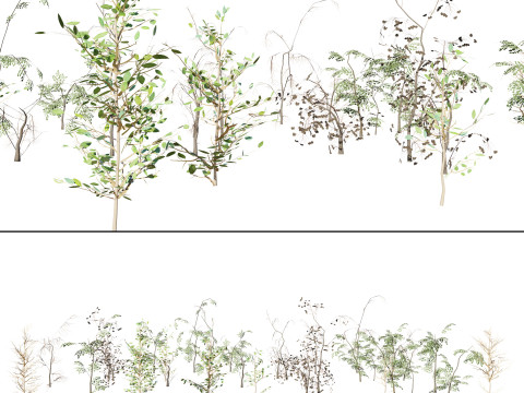 Optimized Foliage Collection 3D Model
