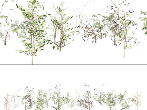 Raccolta del fogliame ottimizzata Modello 3D