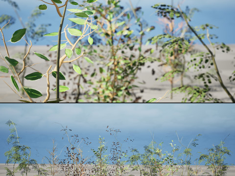 Optimized Foliage Collection 3D Model