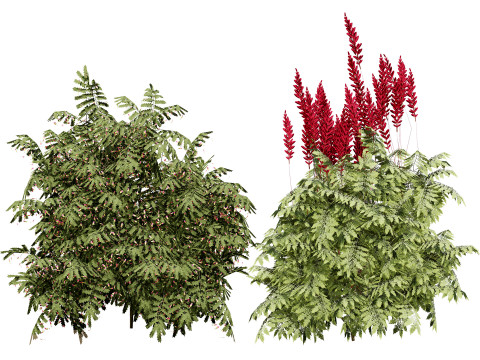 Optimized Foliage Collection 3D Model