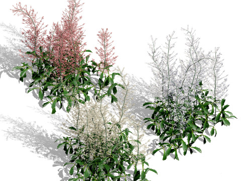 Optimized Foliage Collection 3D Model