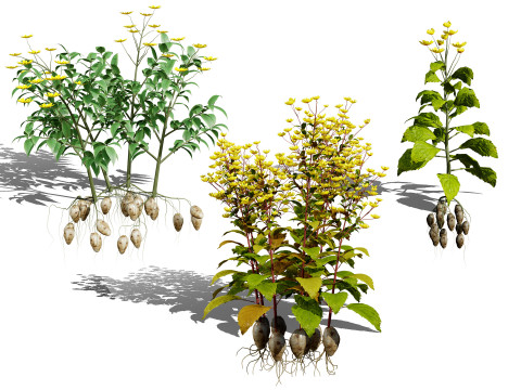 Optimized Foliage Collection 3D Model