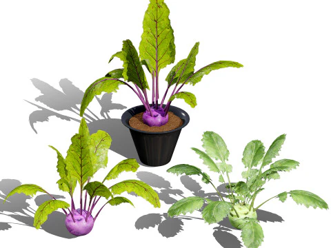 Raccolta del fogliame ottimizzata Modello 3D