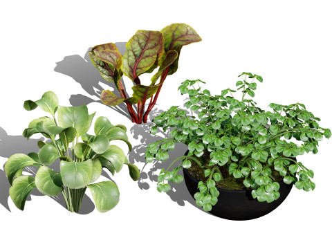 Optimized Foliage Collection 3D Model
