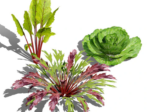 Raccolta del fogliame ottimizzata Modello 3D