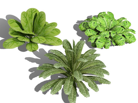 Optimized Foliage Collection 3D Model