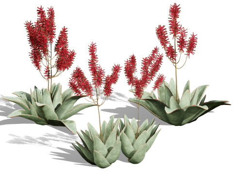 Optimized Foliage Collection 3D Model