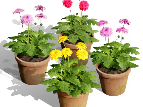 Raccolta del fogliame ottimizzata Modello 3D