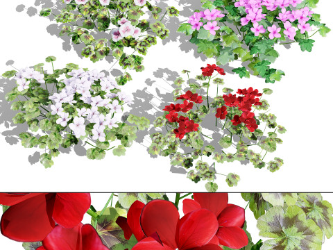 Optimized Foliage Collection 3D Model