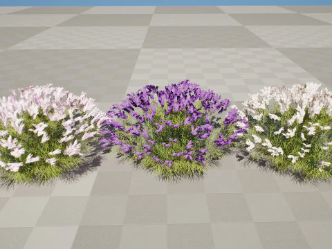 Pacchetto Lavandula BeeZee britannico Modello 3D