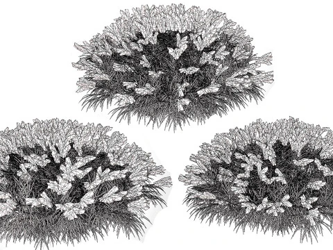 Pacchetto Lavandula BeeZee britannico Modello 3D