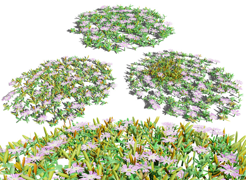 UK Purple Dewplant Pack 3D Model .c4d .max .obj .3ds .fbx .stl .blend