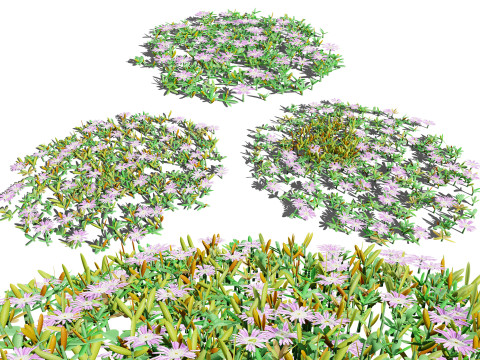UK Purple Dewplant Pack 3D 模型