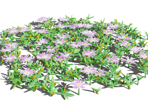 UK Purple Dewplant Pack 3D Model