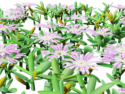 UK Purple Dewplant Pack 3D Model