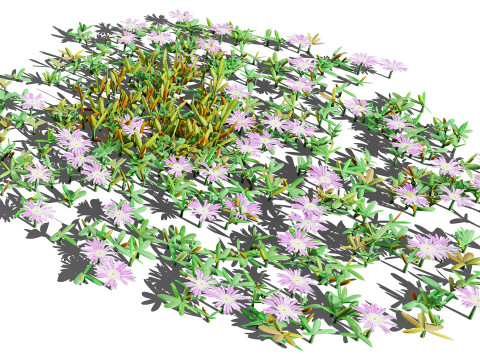 UK Purple Dewplant Pack 3D Model