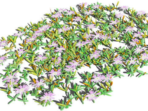 UK Purple Dewplant Pack 3D Model