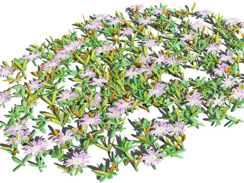UK Purple Dewplant Pack 3D Model