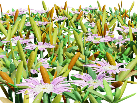 UK Purple Dewplant Pack 3D Model