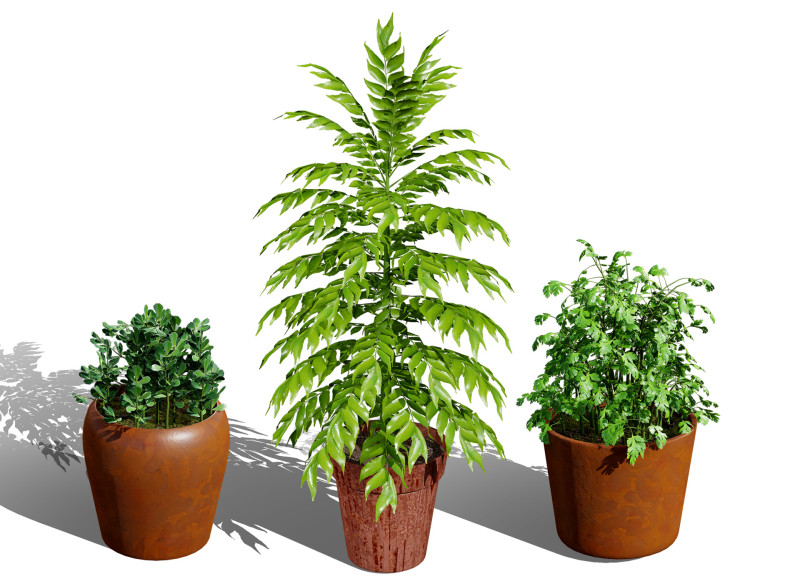 Realistic Potted Culinary Herbs s 3D 模型 .c4d .max .obj .3ds .fbx .stl .blend 