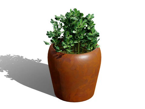 Realistic Potted Culinary Herbs s 3D Model