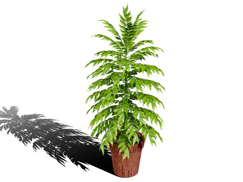 Realistic Potted Culinary Herbs s 3D 模型