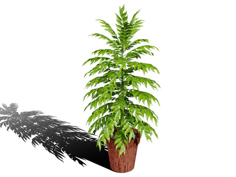 Realistic Potted Culinary Herbs s 3D Model