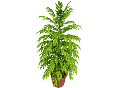 Realistic Potted Culinary Herbs s 3D Model