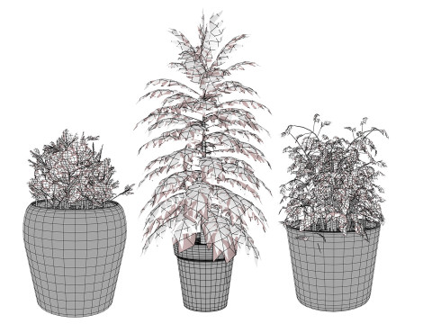 Realistic Potted Culinary Herbs s 3D 模型