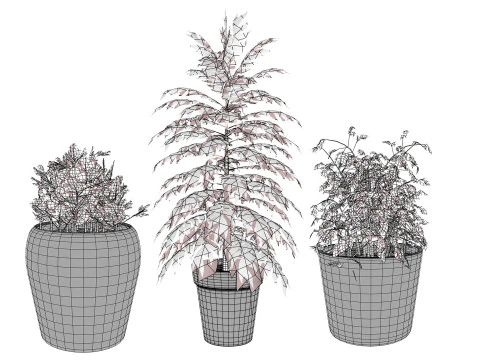 Realistic Potted Culinary Herbs s 3D Model